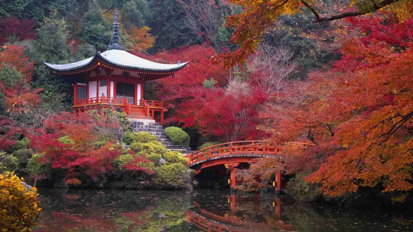 Kyoto Express'